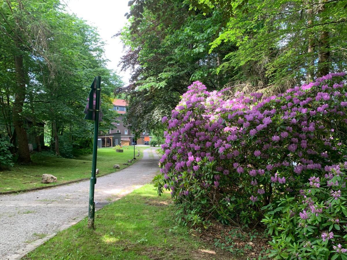 Ferienwohnung Haus am Kurpark Clausthal-Zellerfeld Exterior foto